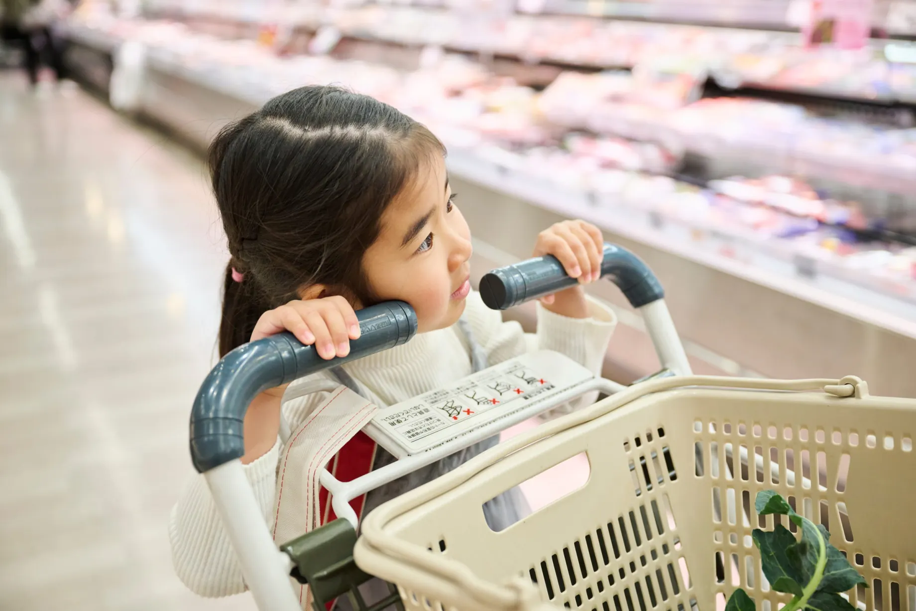 スーパーでカートを押して買い物をする女の子